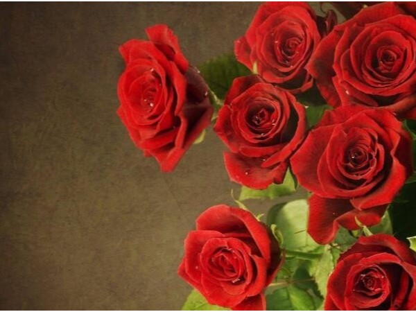 浪漫七夕，送花有些俗了，咱們不如送個指紋鎖