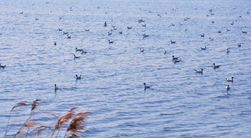 指紋鎖生產(chǎn)廠(chǎng)家