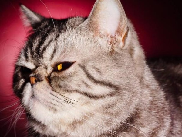 人家已經(jīng)用了一年多的指紋鎖了，而你還在質(zhì)疑它？