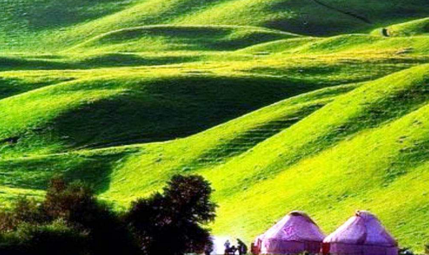 莫爾道嘎國(guó)家森林公園